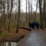 afbeelding kam-wandeling Lage Bergse Bos nov 2024